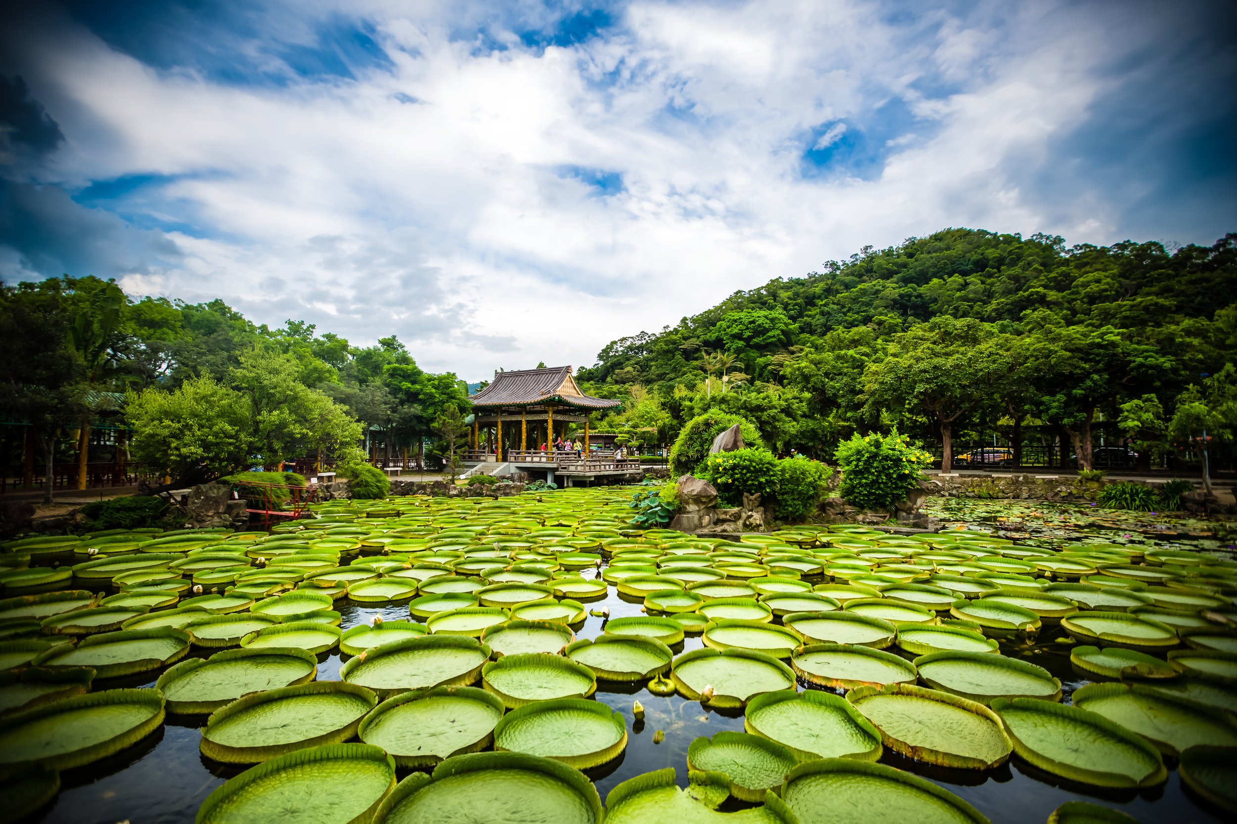 🌸 시치쿠 가든 이미지 7